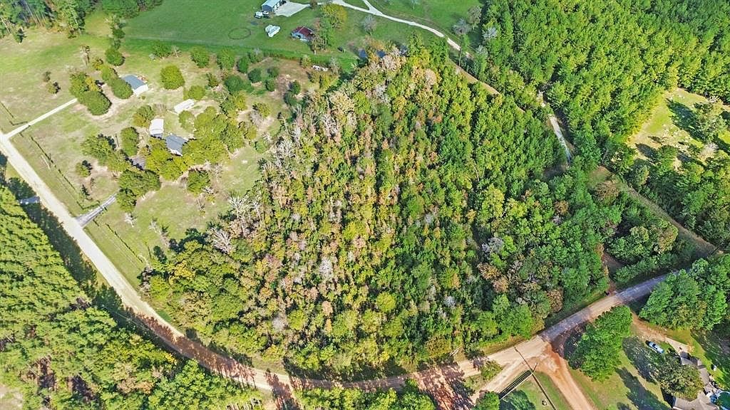 Big Woods Rd, New Waverly, TX, 77358 - Thumbnail 4