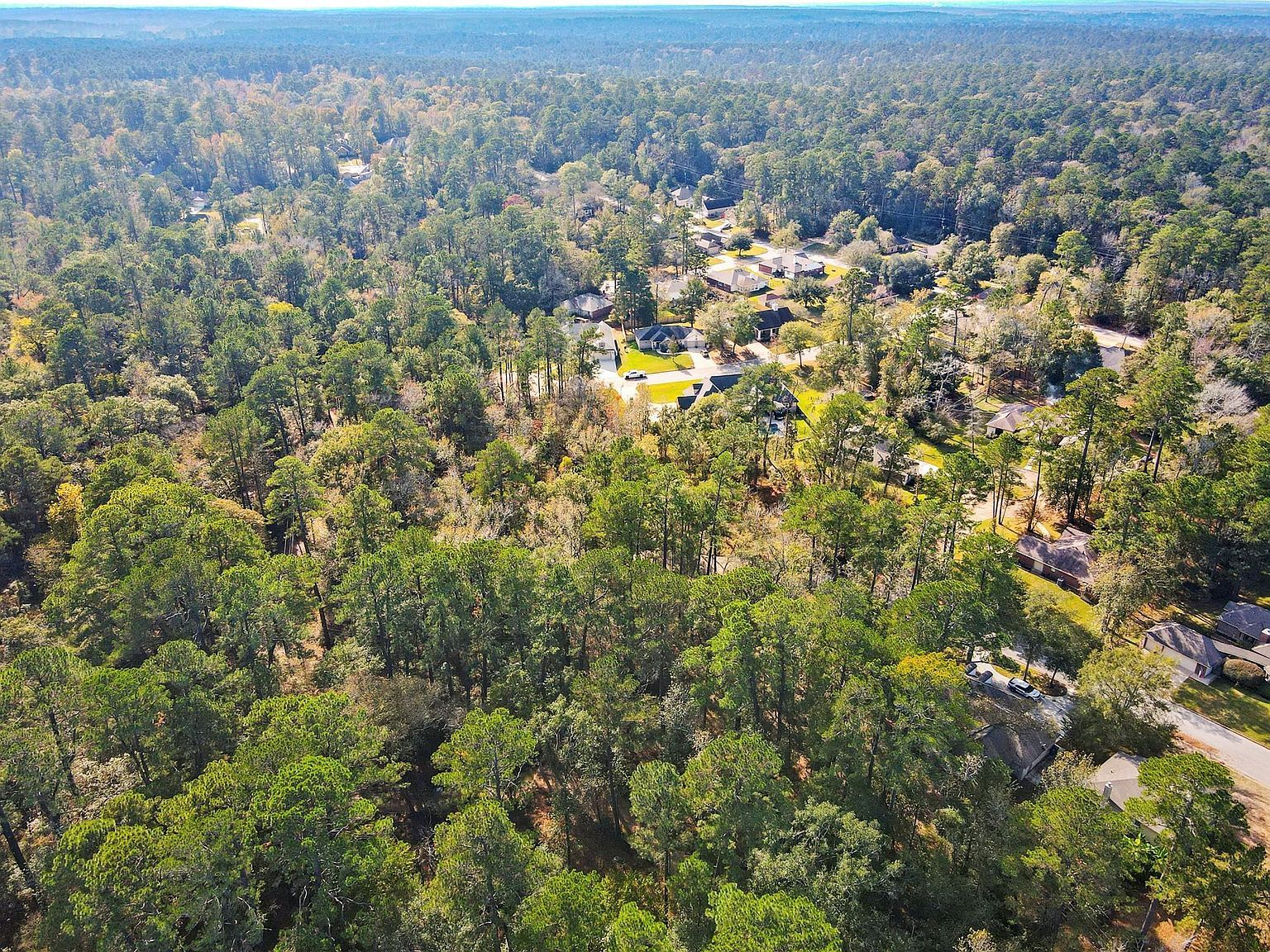 306 Inverness St Huntsville, TX 77340 - Thumbnail 4