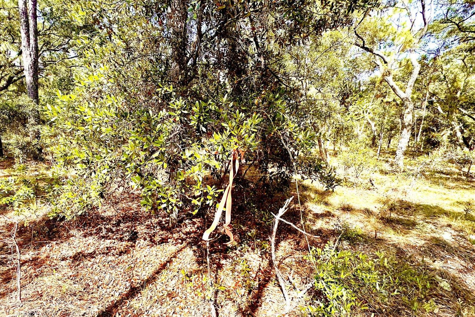 10361 SE 126th Belle Glade, FL 33430 - Thumbnail 4