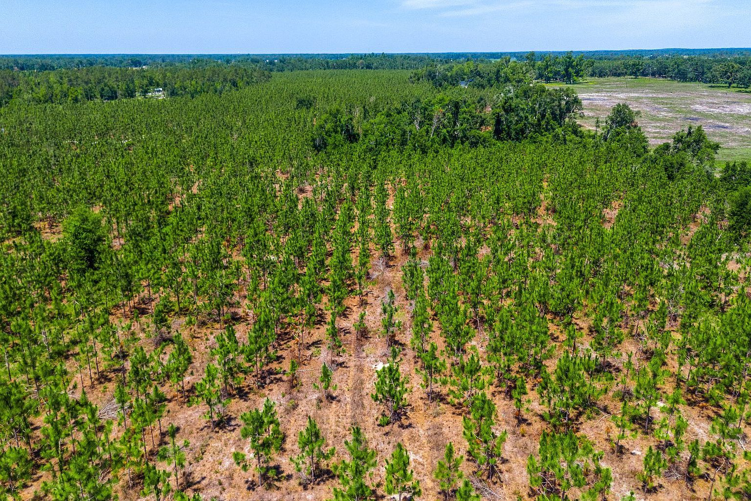 0 SE Coolidge Ave Lee, FL 32059 - Thumbnail 4