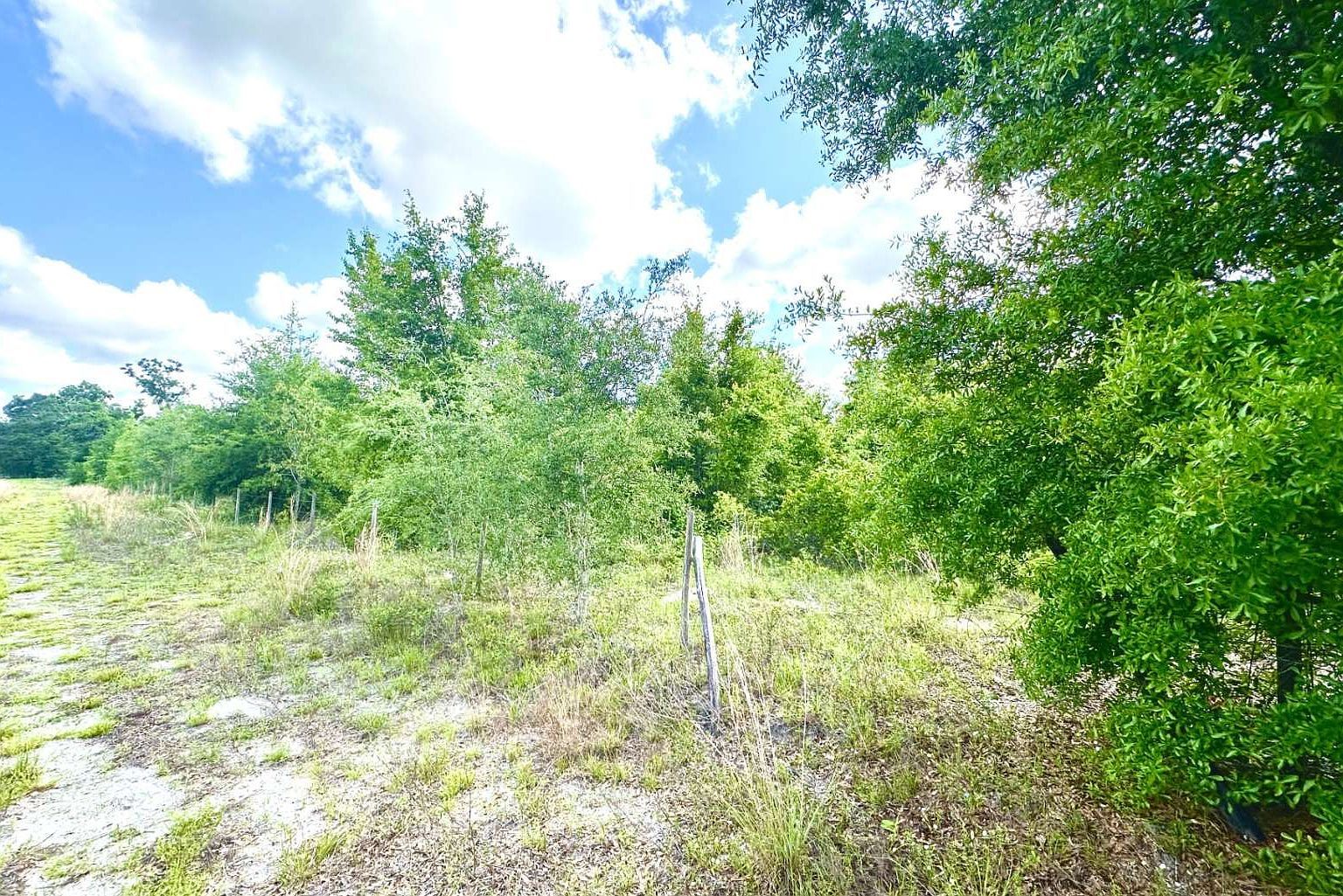 0 SE County Road 412 Mayo, FL 32066 - Thumbnail 4