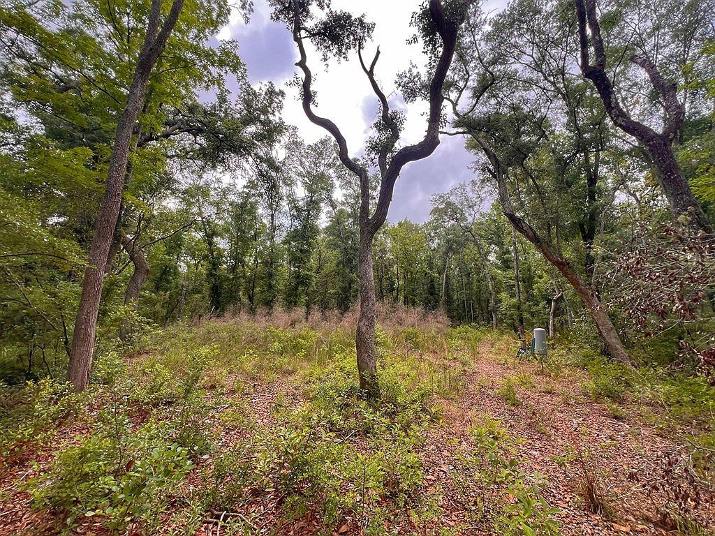 110 NE 770th St Old Town, FL 32680 - Thumbnail 4