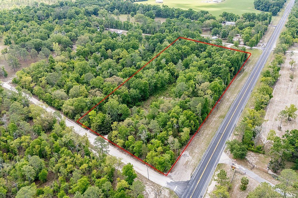 Highway 129 Bell, FL 32619 - Thumbnail 4