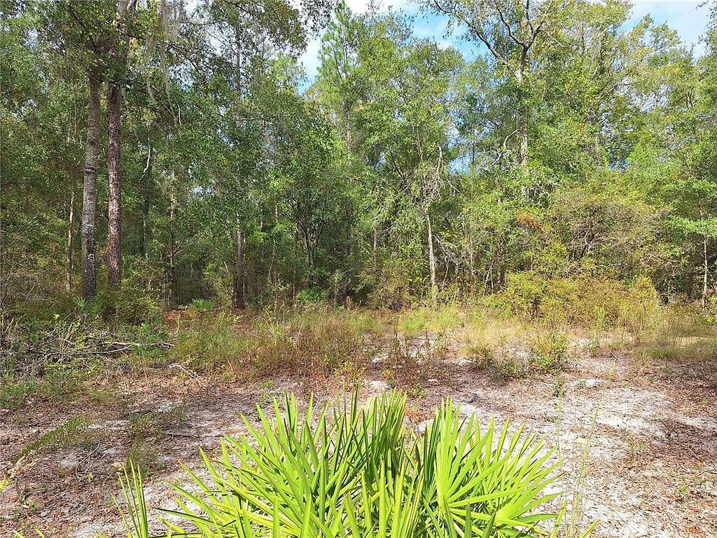 0 SW County Road 138 Fort White, FL 32038 - Thumbnail 4