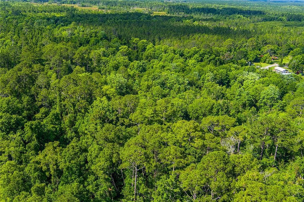 3201 Raulerson Rd E Saint Augustine, FL 32092 - Thumbnail 4