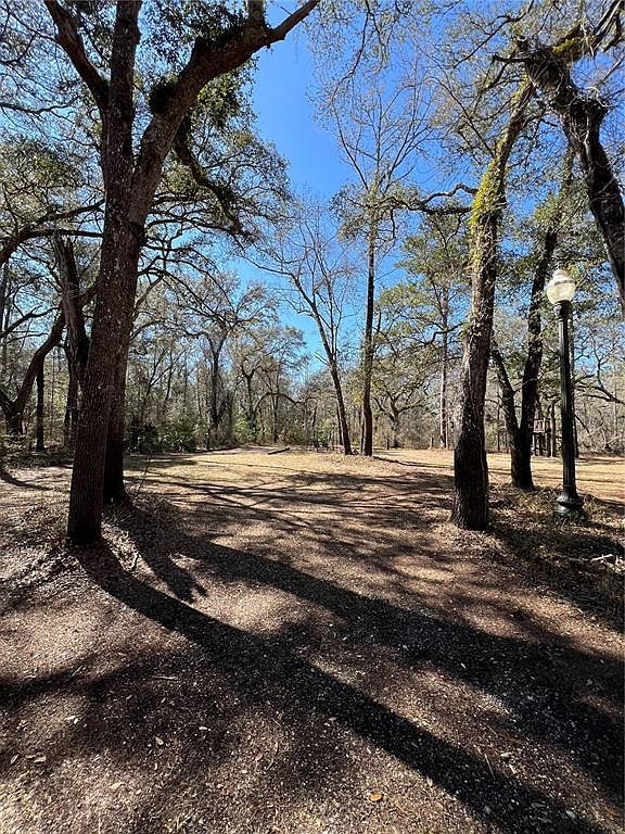 0 SE Elisha Blvd Lot 64 Branford, FL 32008 - Thumbnail 4