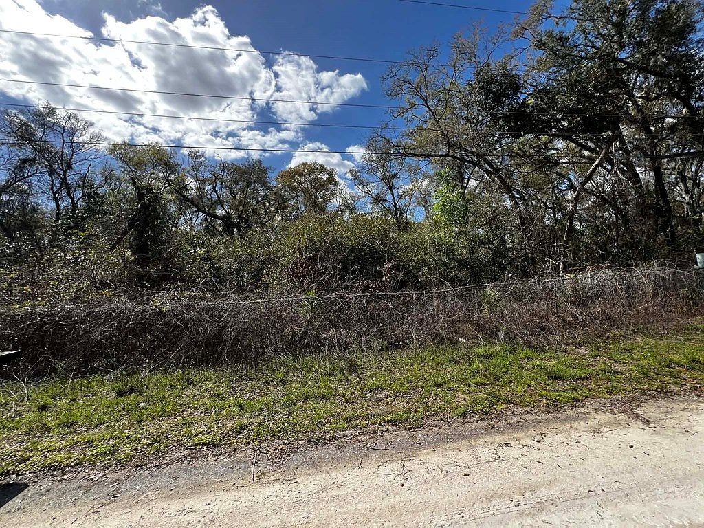 164 SE 935th St Old Town, FL 32680 - Thumbnail 4