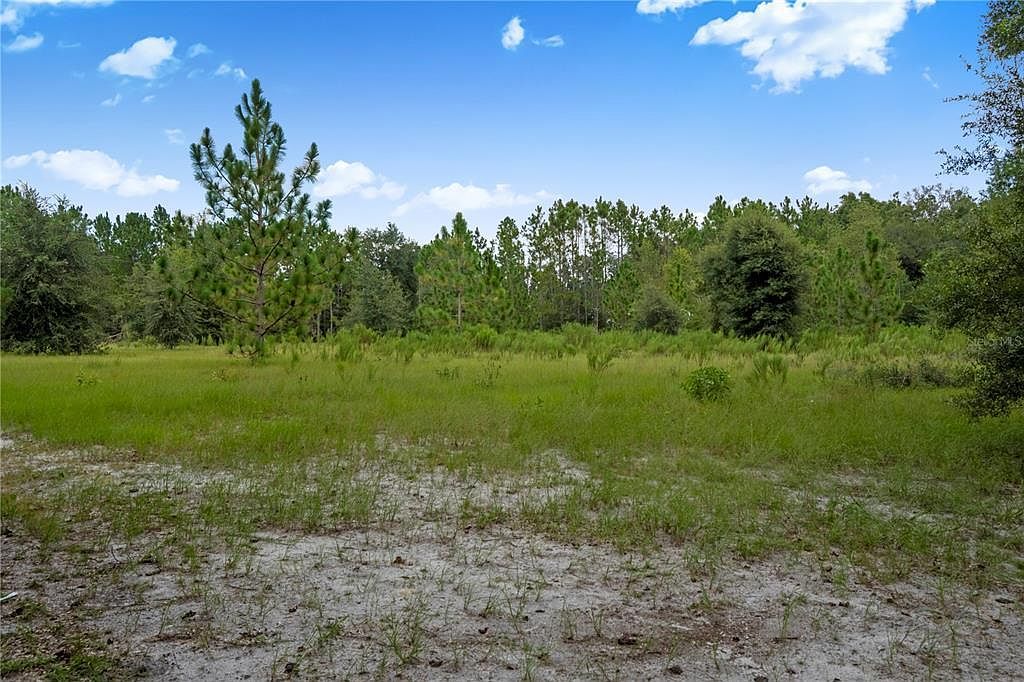 3749 SW 22nd Pl #V Bell, FL 32619 - Thumbnail 4