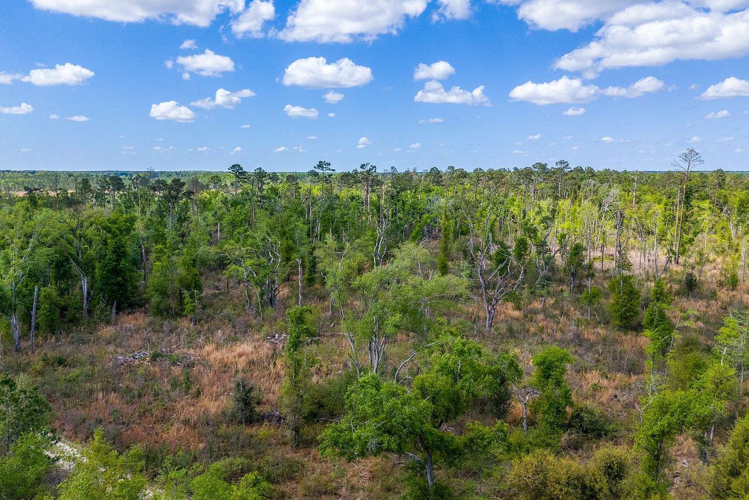 County Road 132 Live Oak, FL 32060 - Thumbnail 4