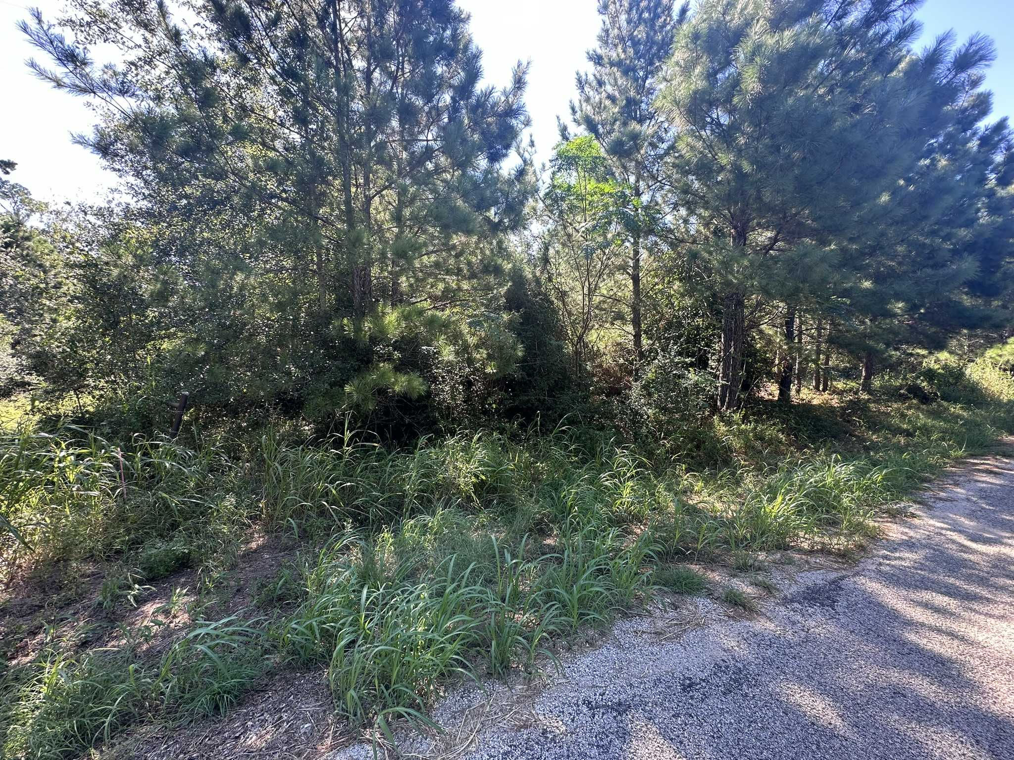 Alum Creek Rd, Smithville, TX, USA, Smithville, TX, 78957  | Land/Lot