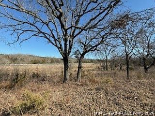 182328 N 4170th Rd Moyers, OK 74557 - Thumbnail 4