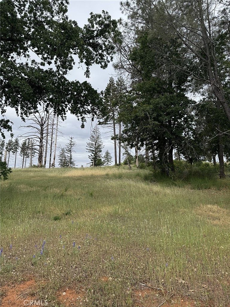 49 Carli Ct Paradise, CA 95969 - Thumbnail 4