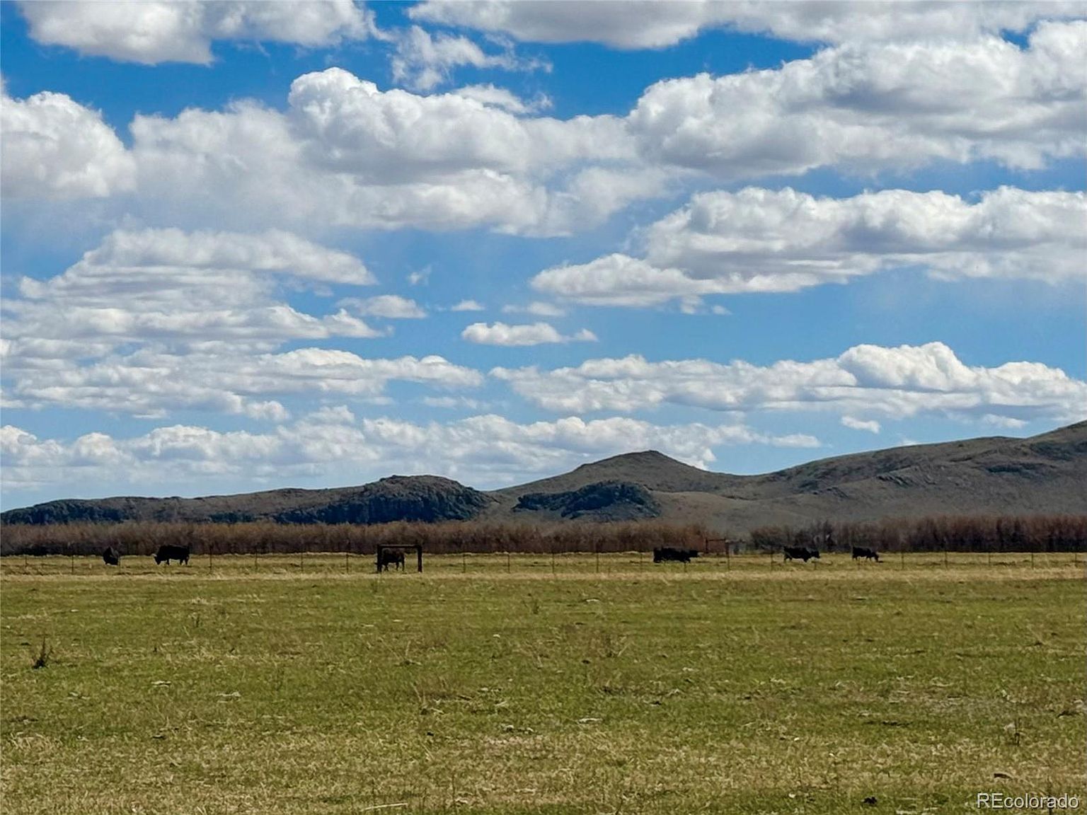 Hazard Ranch Sub Saguache, CO 81149 - Thumbnail 4