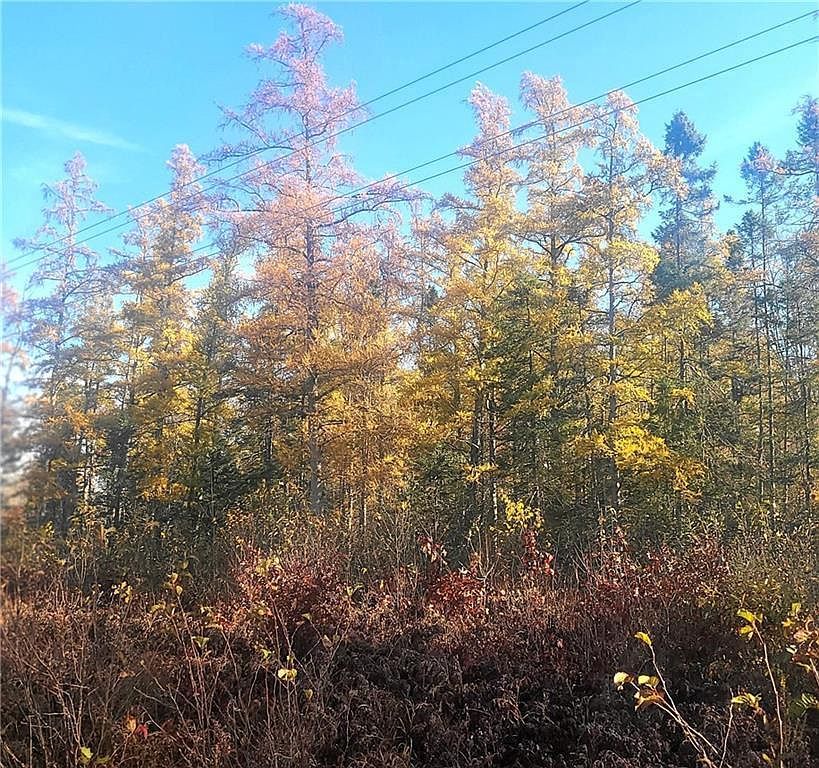 Highway 77 Minong, WI 54859 - Thumbnail 4