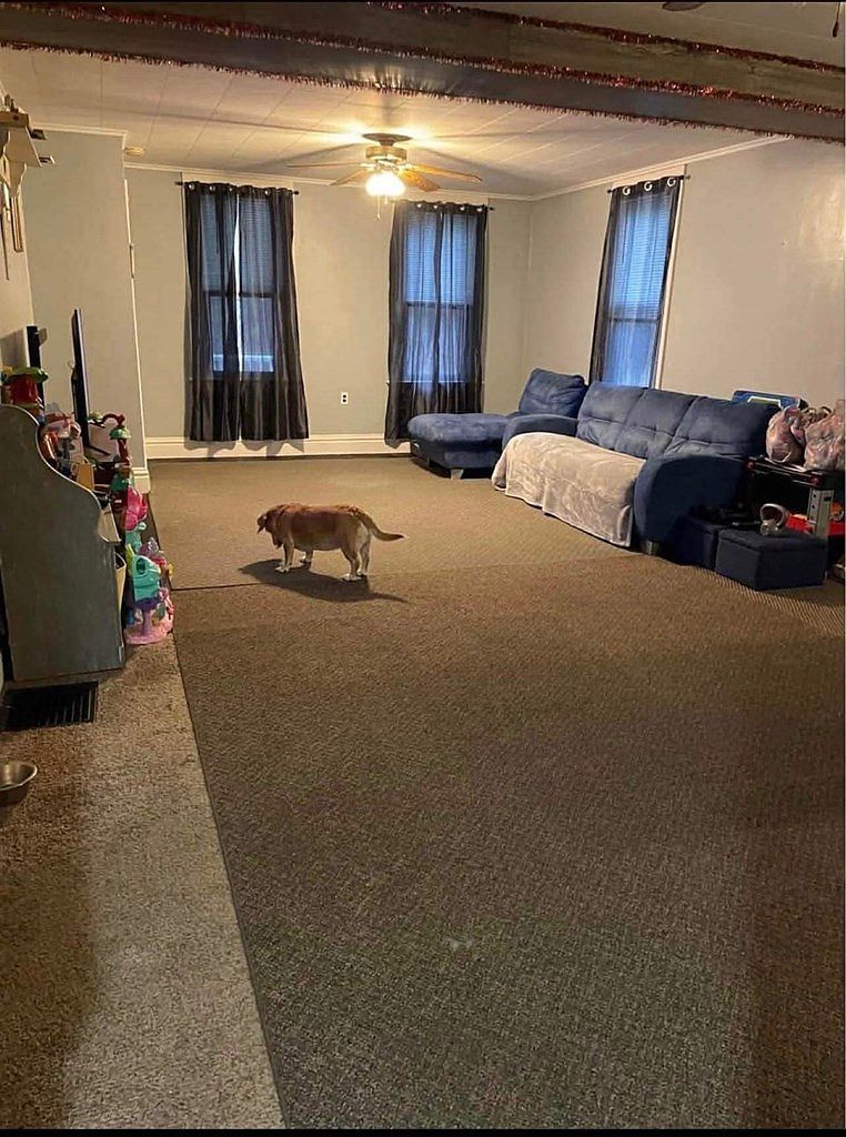 137 Roosevelt Ave Benwood, WV 26031 - Thumbnail 4