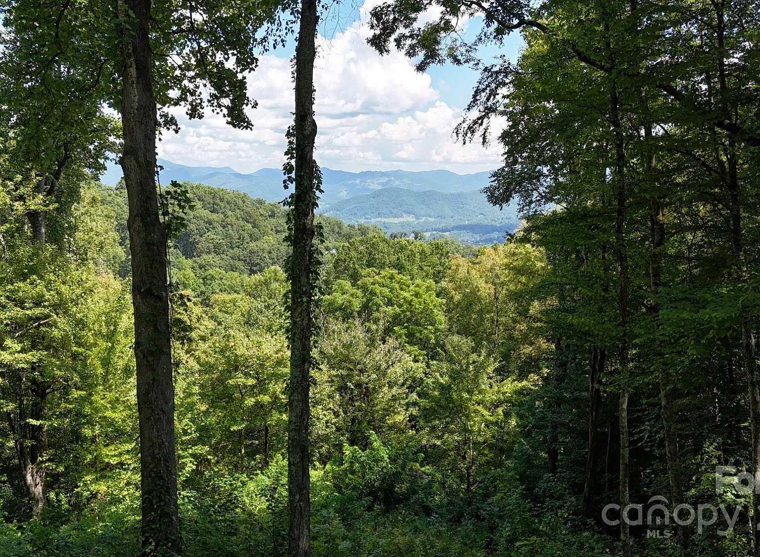 2222 Sleepy Hollow Dr Waynesville, NC 28785 - Thumbnail 4