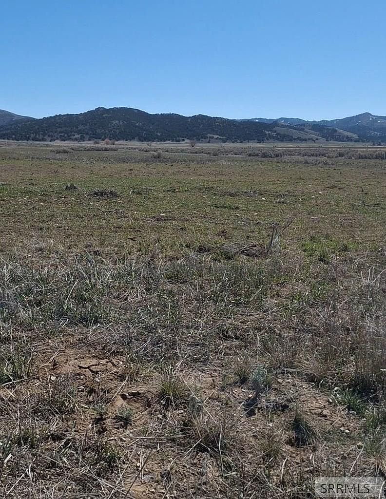 Talmage Rd Bancroft, ID 83217 - Thumbnail 4