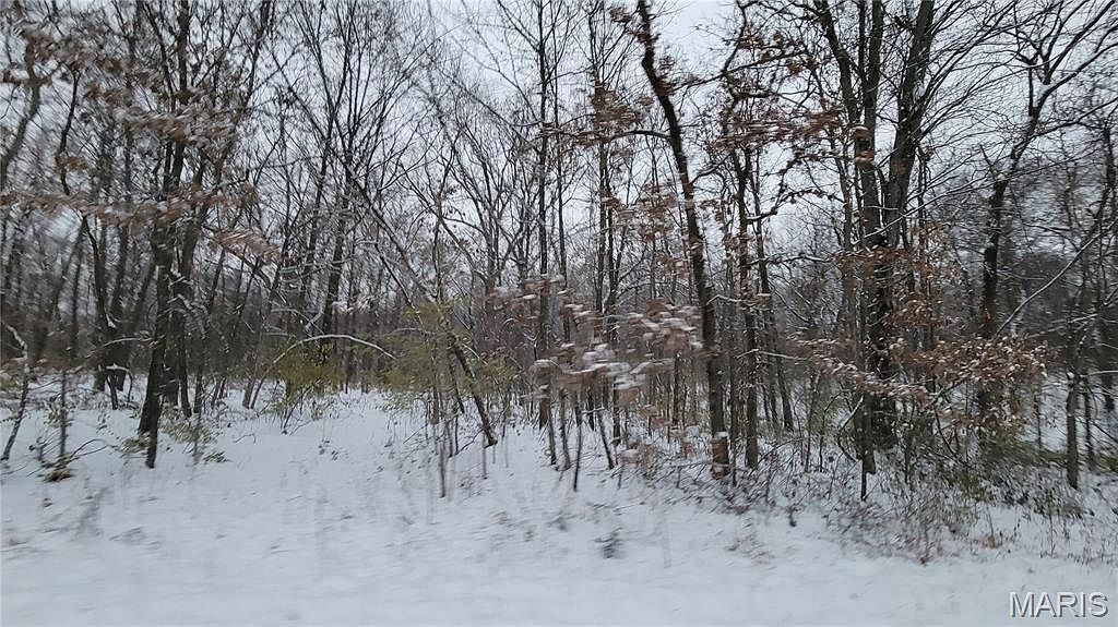 TRACT 2 Valley Farm Warrenton, MO 63383 - Thumbnail 4