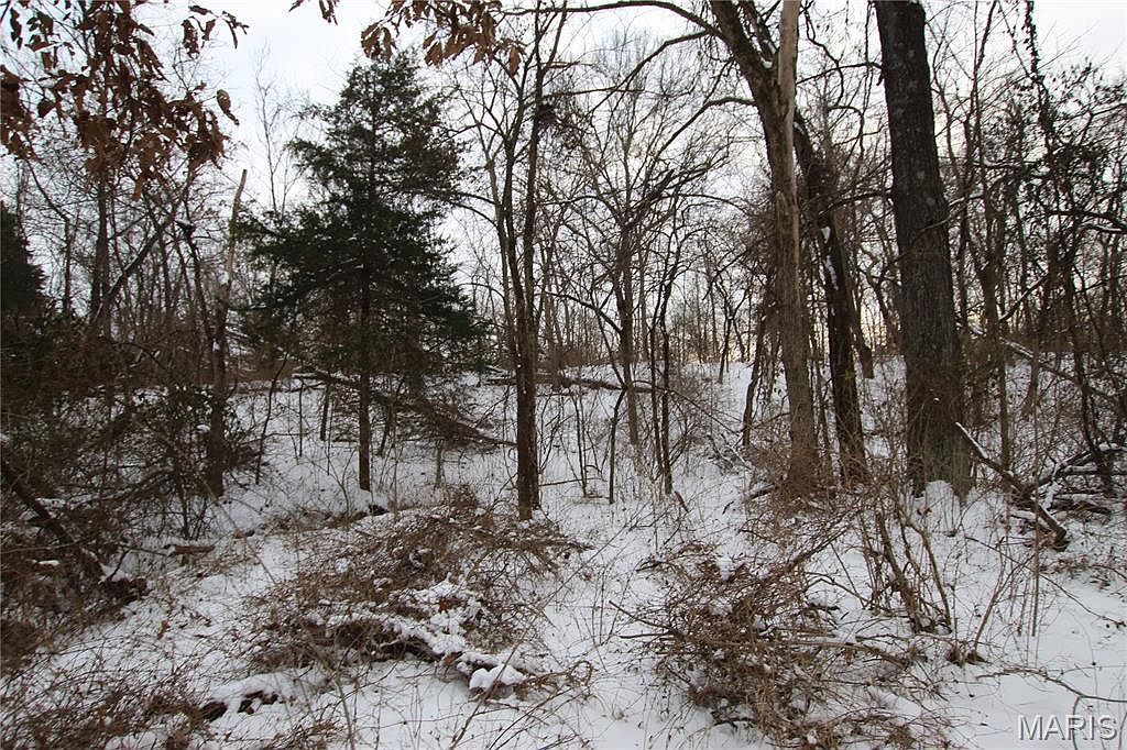 6.09 State Highway A Truxton, MO 63381 - Thumbnail 4