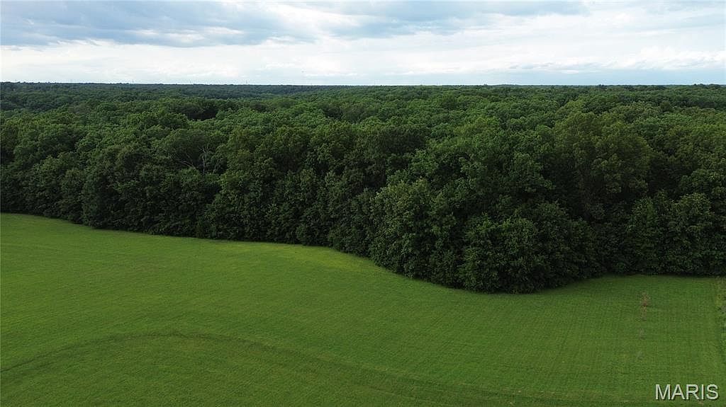 8A Donegal Ct Warrenton, MO 63383 - Thumbnail 4