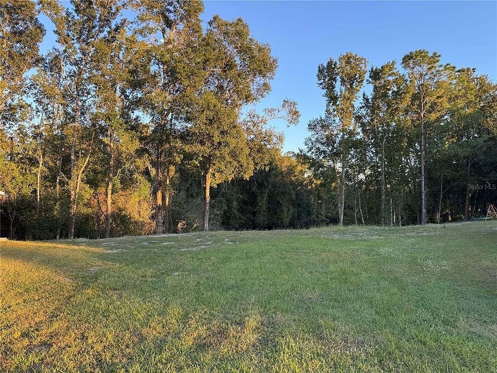 0 Eagle Blvd LOT 13 Land O Lakes, FL 34639 - Thumbnail 4