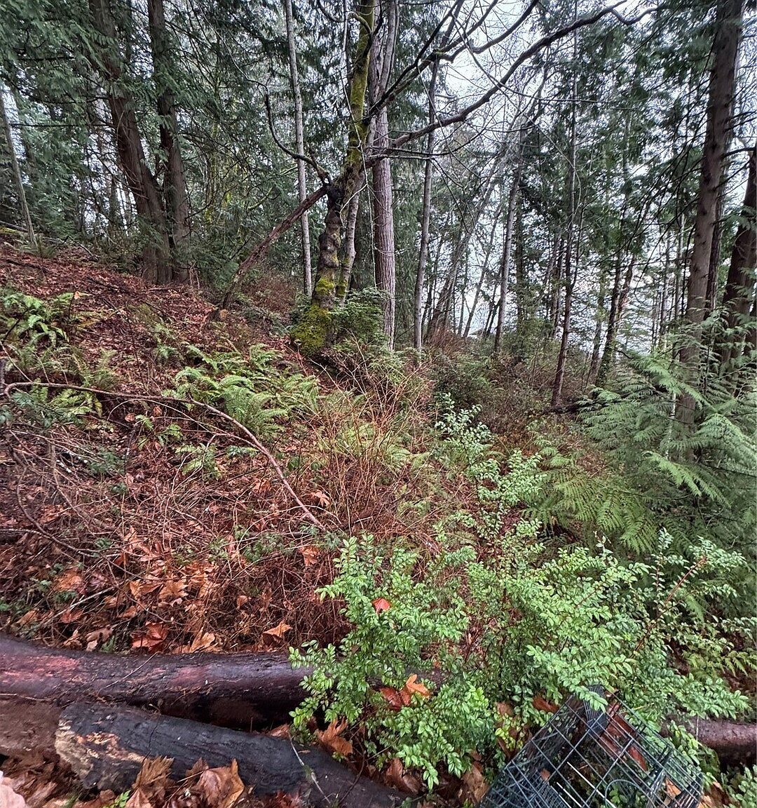 0 Hazel Point Rd Quilcene, WA 98376  | Land/Lot