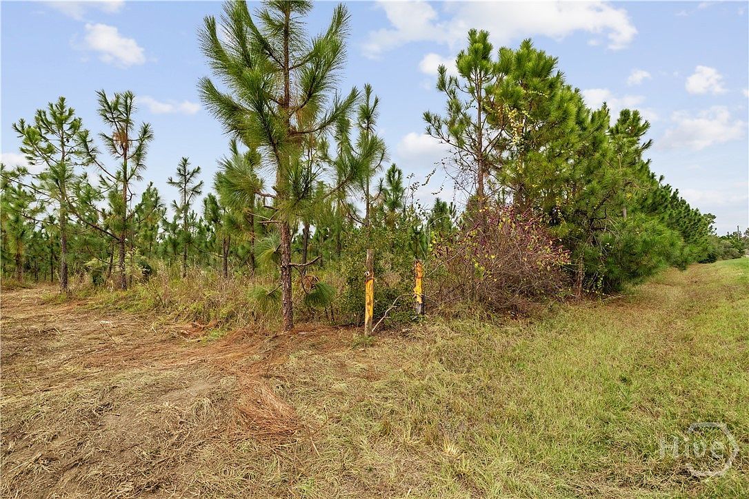 0 State Highway 297 Tracts 2 #3-4 Soperton, GA 30457 - Thumbnail 4