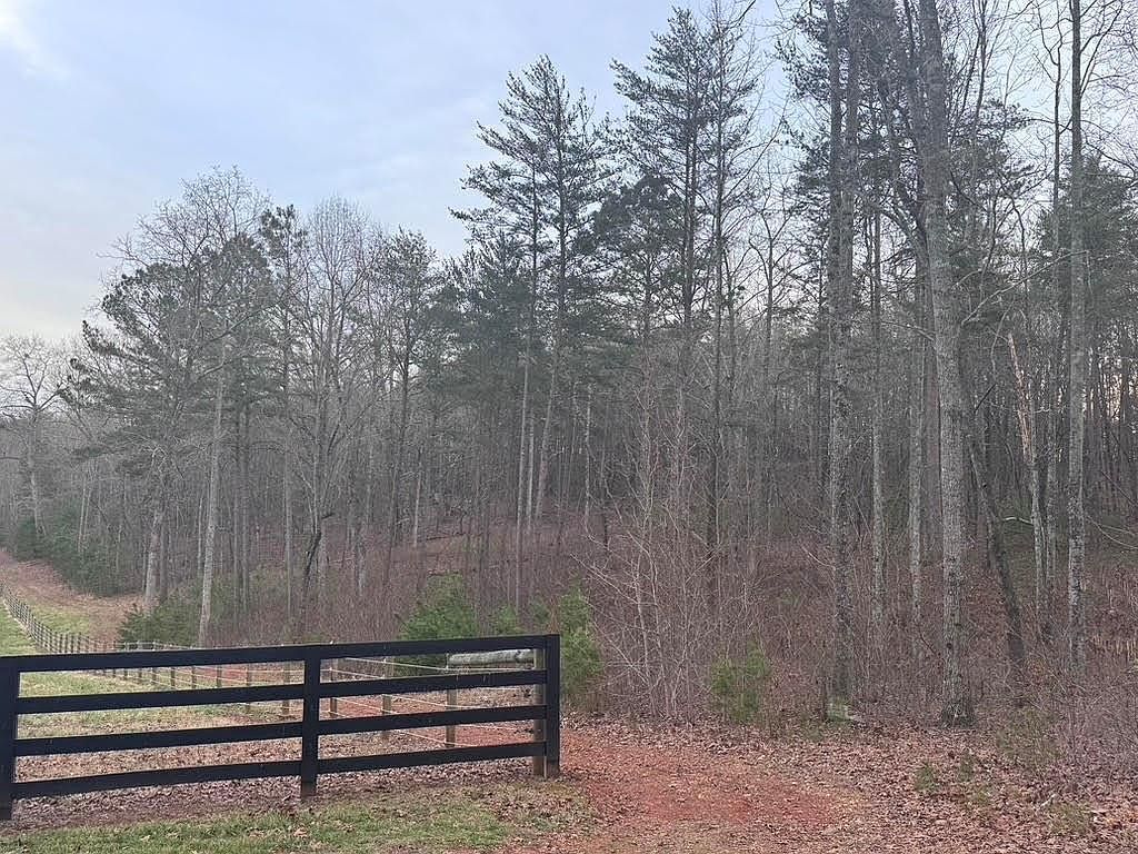 202 Emma Ter Dawsonville, GA 30534 - Thumbnail 4