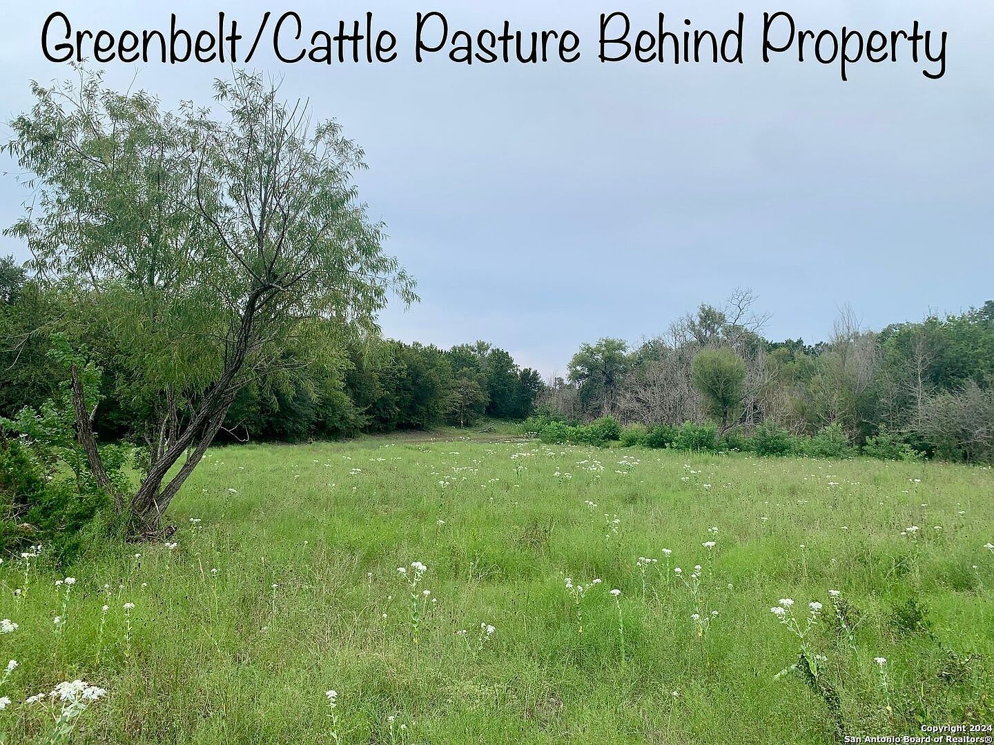 807 Stagecoach Trl #151R Spring Branch, TX 78070 - Thumbnail 4