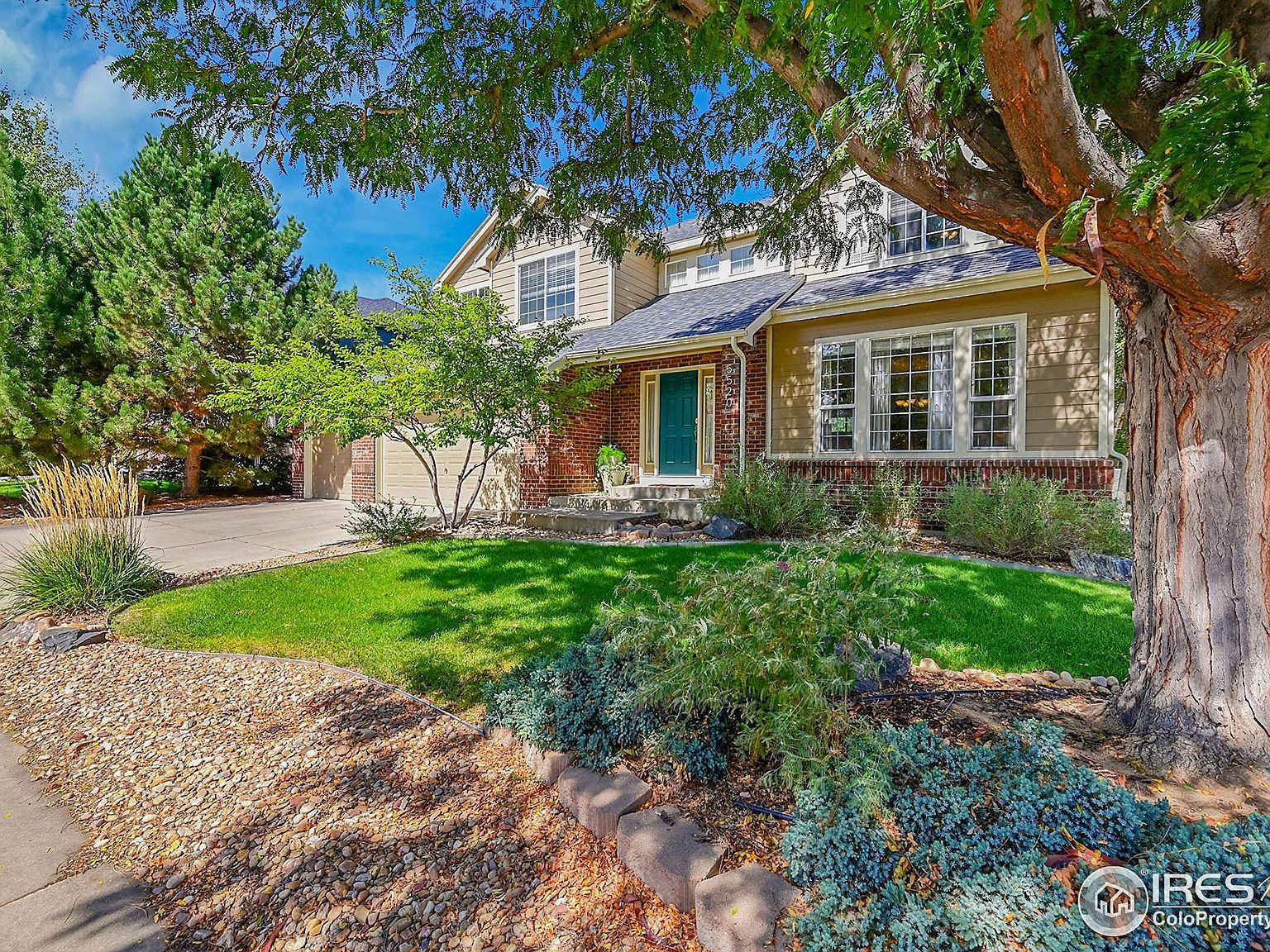 5520 Morgan Way Frederick, CO 80504 - Thumbnail 4