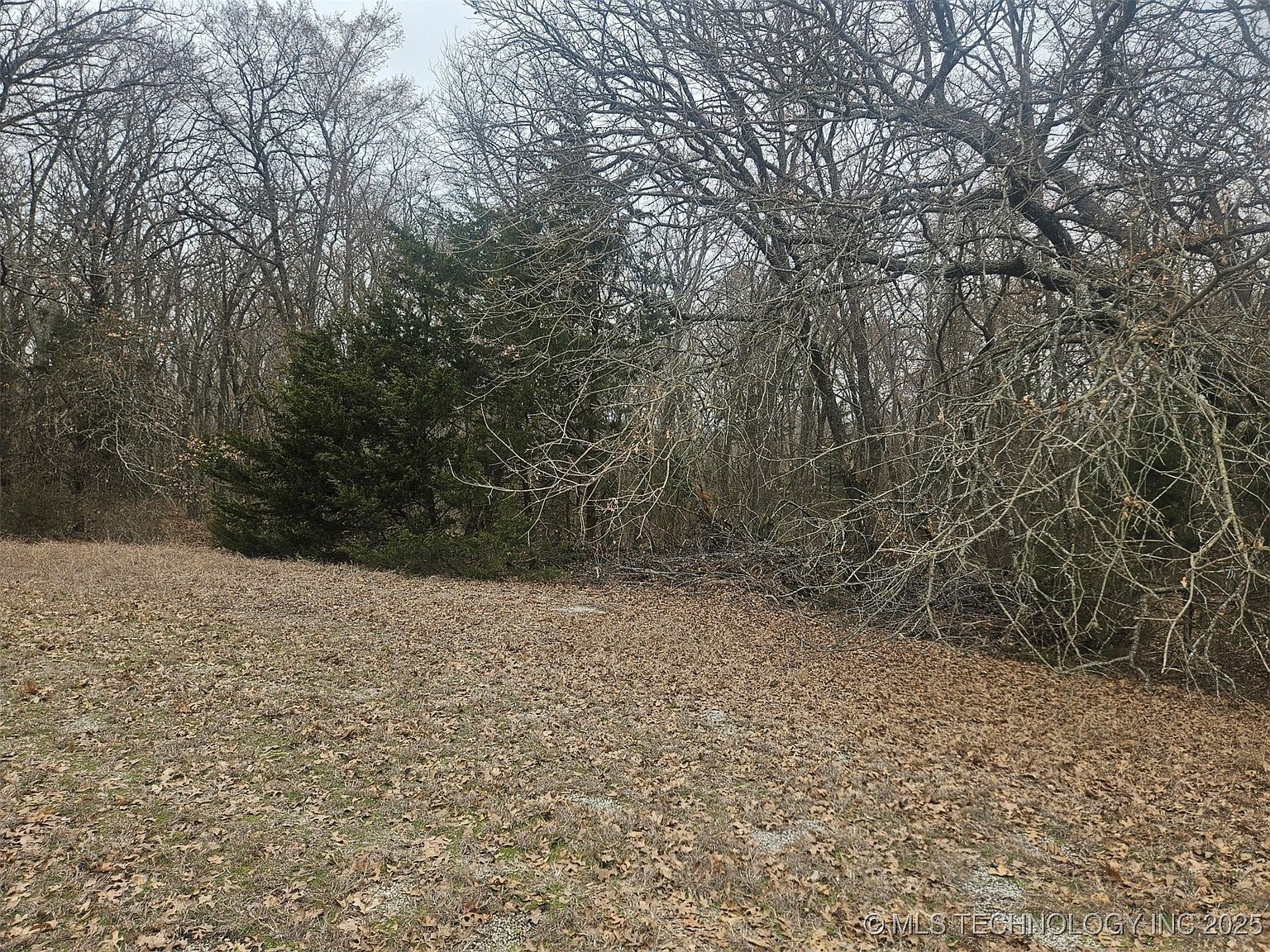 Rio Rd Burneyville, OK 73430 - Thumbnail 4