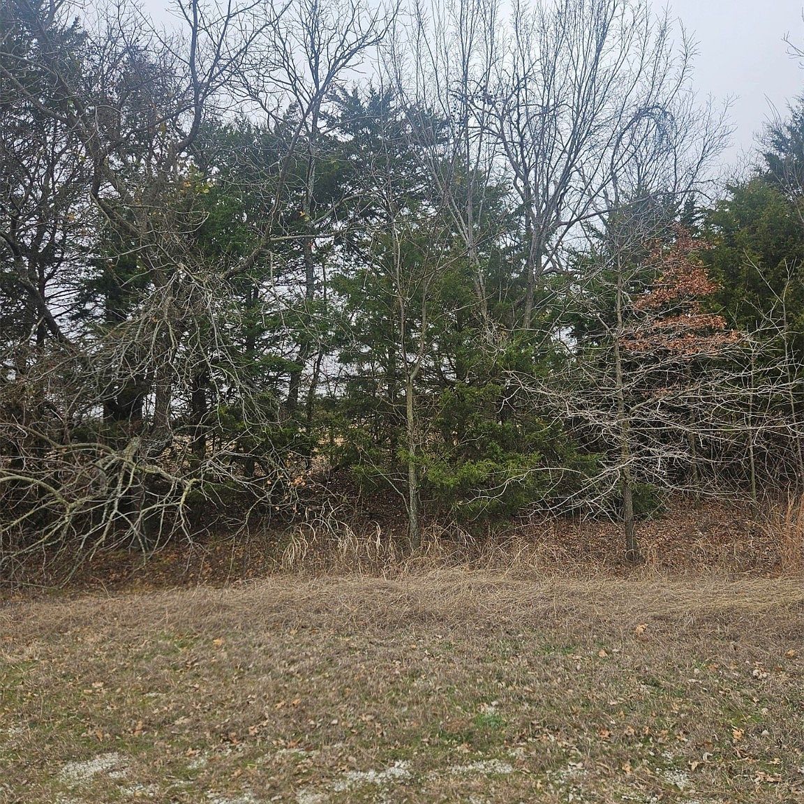 Red River Ave Burneyville, OK 73430 - Thumbnail 4