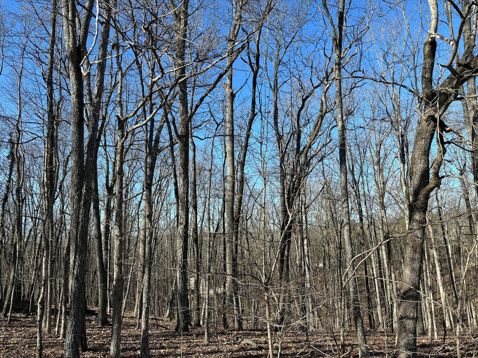 239 Amherst Ln Fairfield Glade, TN 38558 - Thumbnail 4