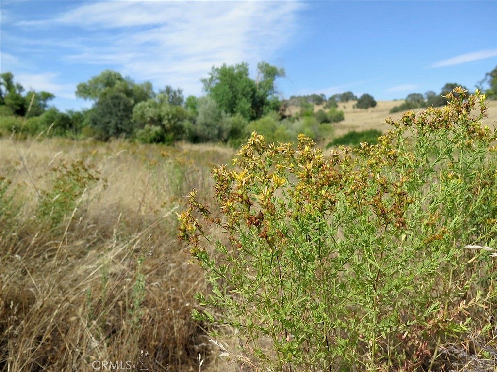 2628 Ranchito Dr Lot 723 La Grange, CA 95329 - Thumbnail 4