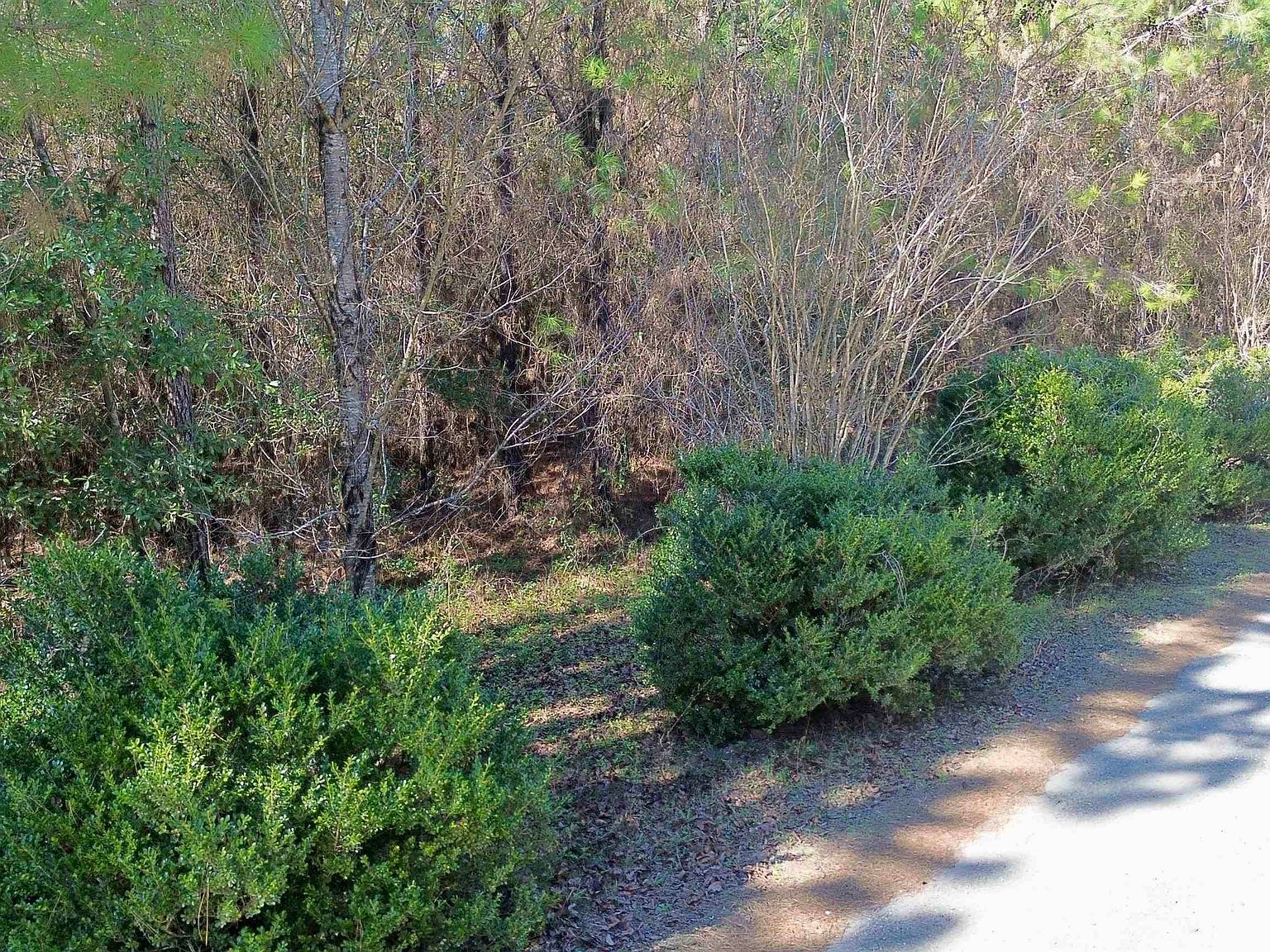 200 Samanthas Ln Monticello, FL 32344 - Thumbnail 4