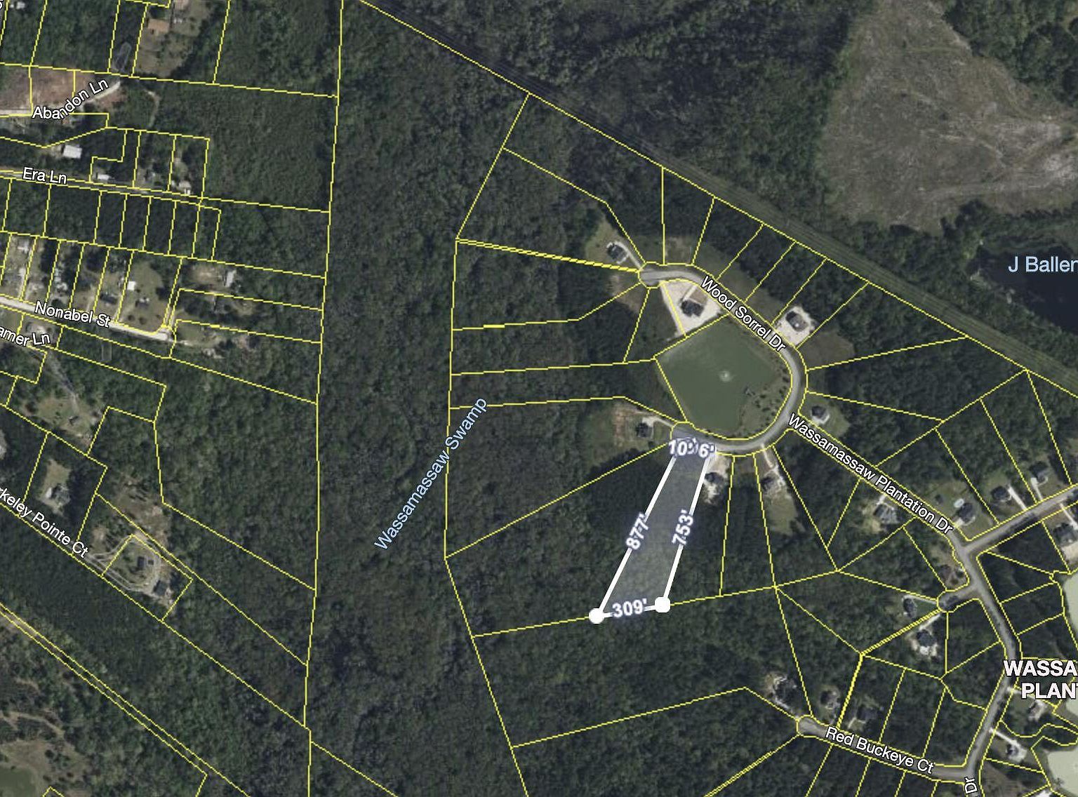 1305 Wood Sorrel Dr Moncks Corner, SC 29461 - Thumbnail 4