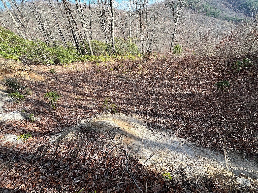 0 Crisscross Ln #20-21 Tuckasegee, NC 28783 - Thumbnail 4