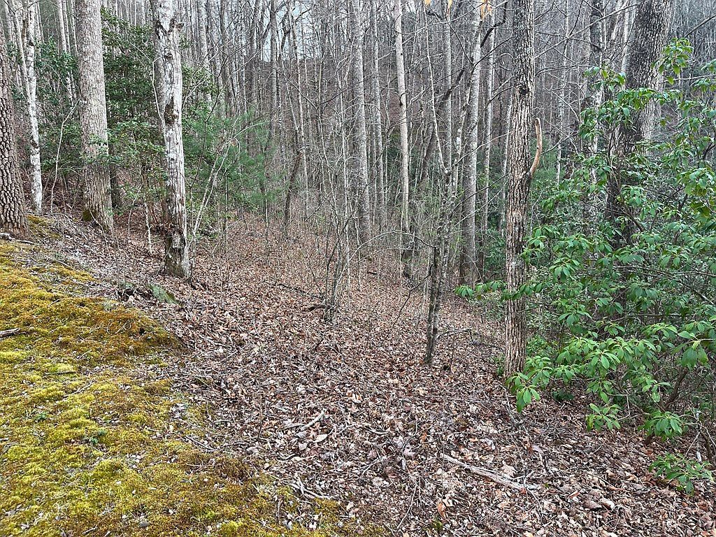 70 Canvasback Ct Whittier, NC 28789 - Thumbnail 4