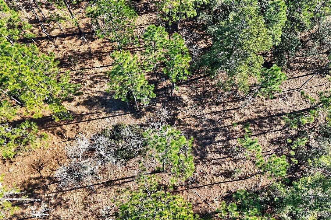 0 SE 2nd St Lot 6 Williston, FL 32696 - Thumbnail 4