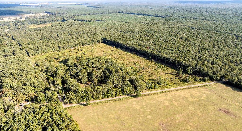 0 S County Road 4223 Simms, TX 75574  | Land/Lot