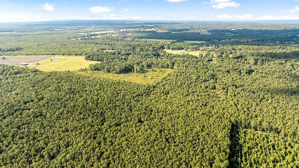 0 County Road 4223 Simms, TX 75574 - Thumbnail 4