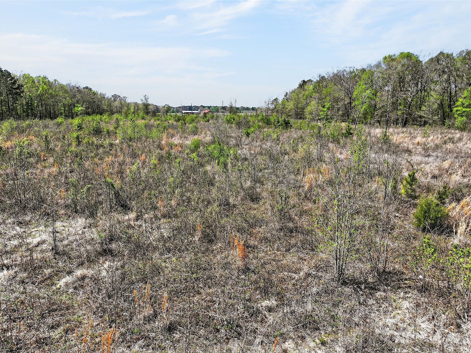 14/ACRE S County Road 4223 Simms, TX 75574 - Thumbnail 4