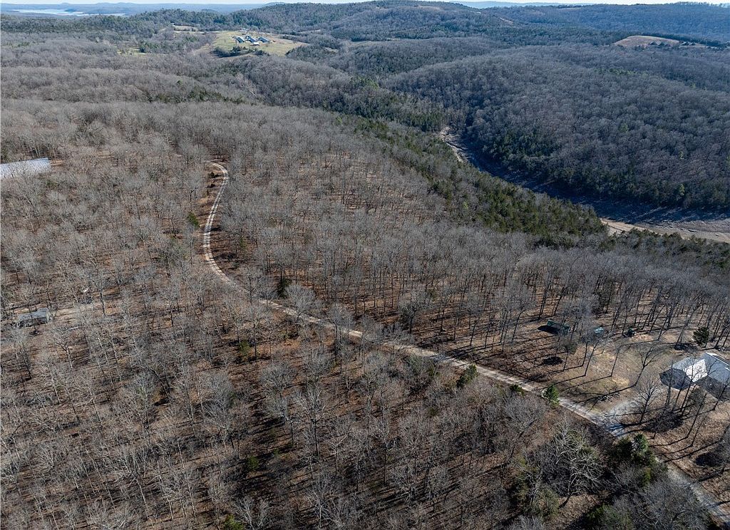 58 Pilots Cove Ln Yellville, AR 72687 - Thumbnail 4