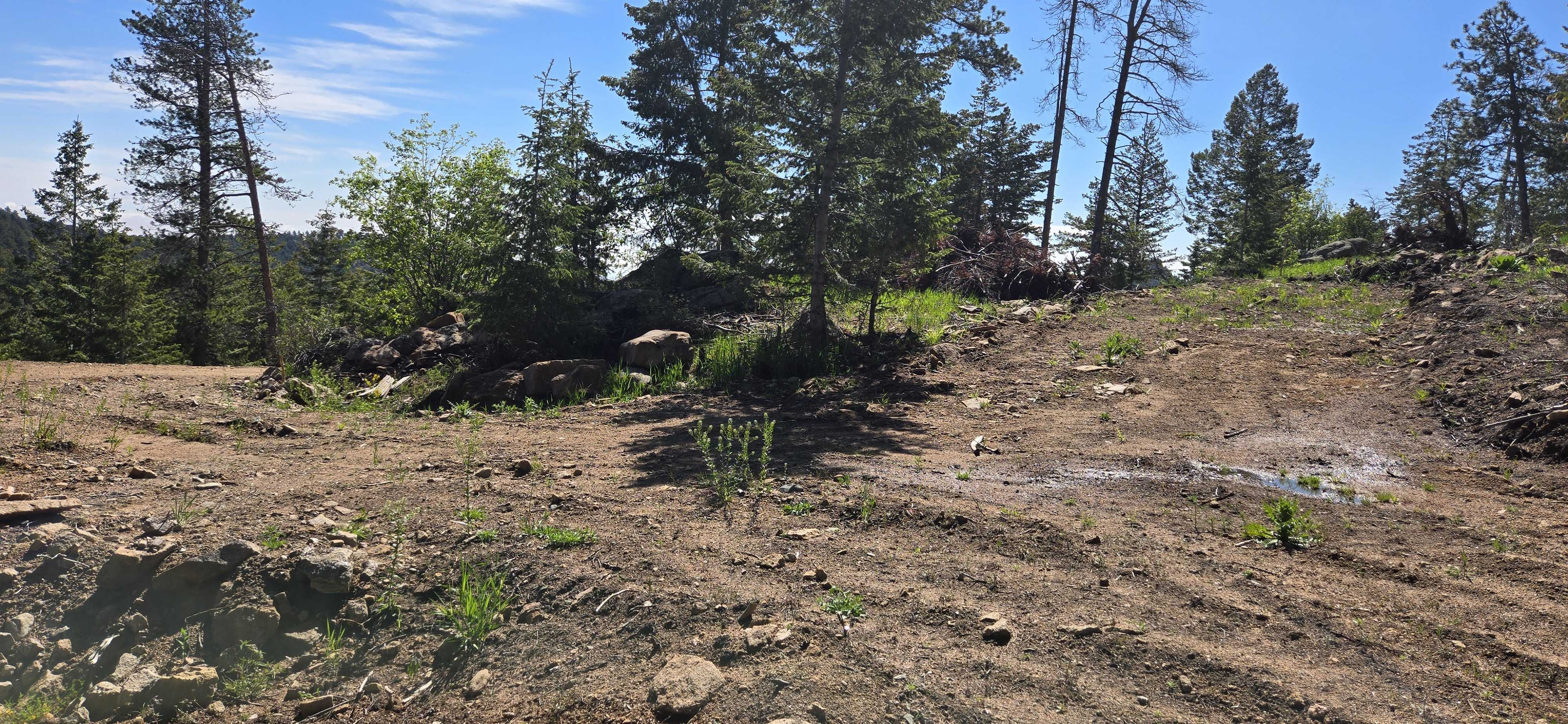 4761 Northwood Dr, Evergreen, CO, USA, 80439 - Thumbnail 4