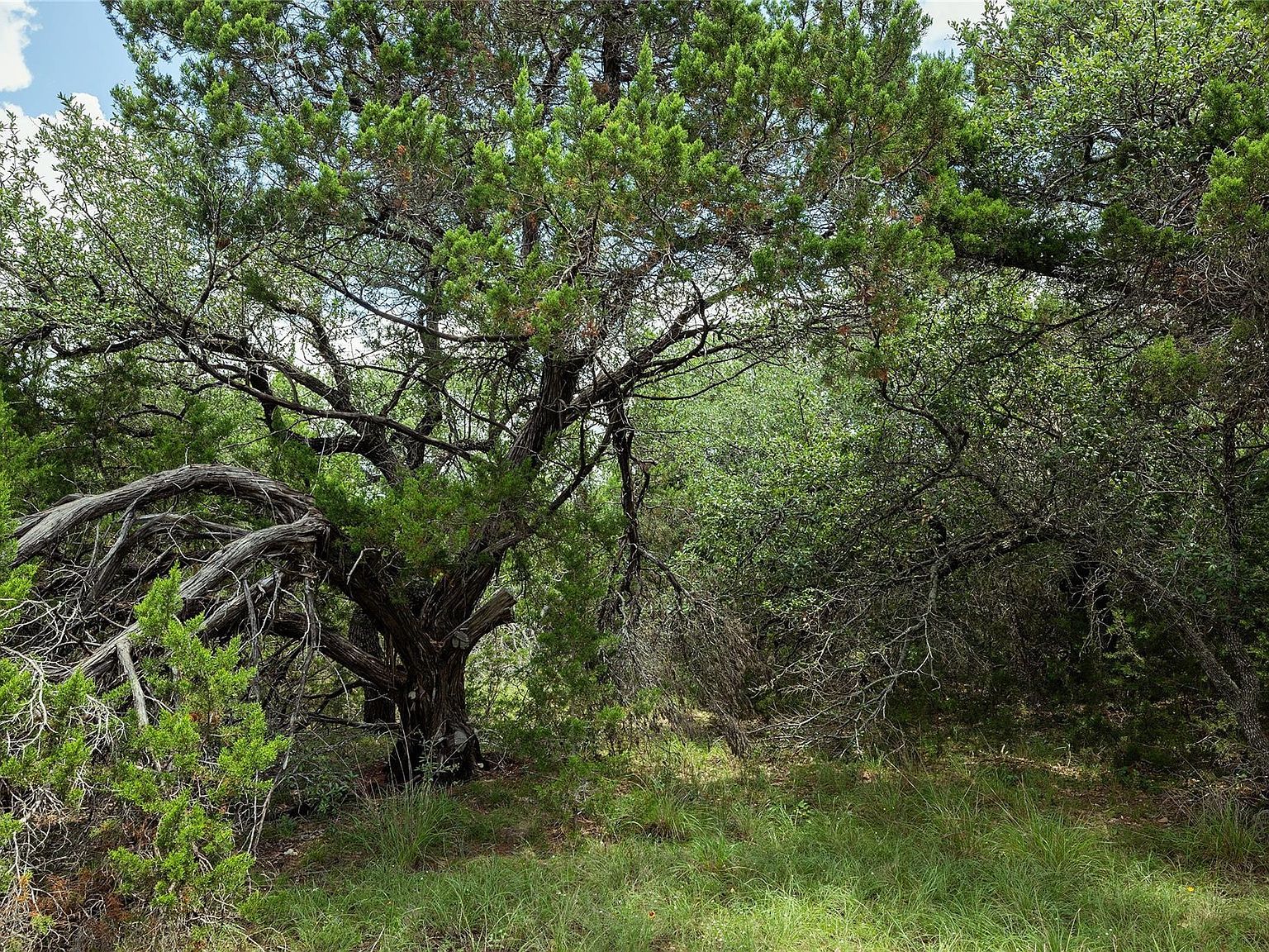 179 Shawnee Trl Dripping Springs, TX 78620 - Thumbnail 4