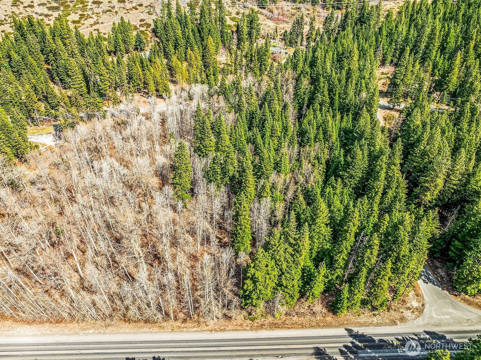 1111 Nason Ridge Rd Leavenworth, WA 98826 - Thumbnail 4