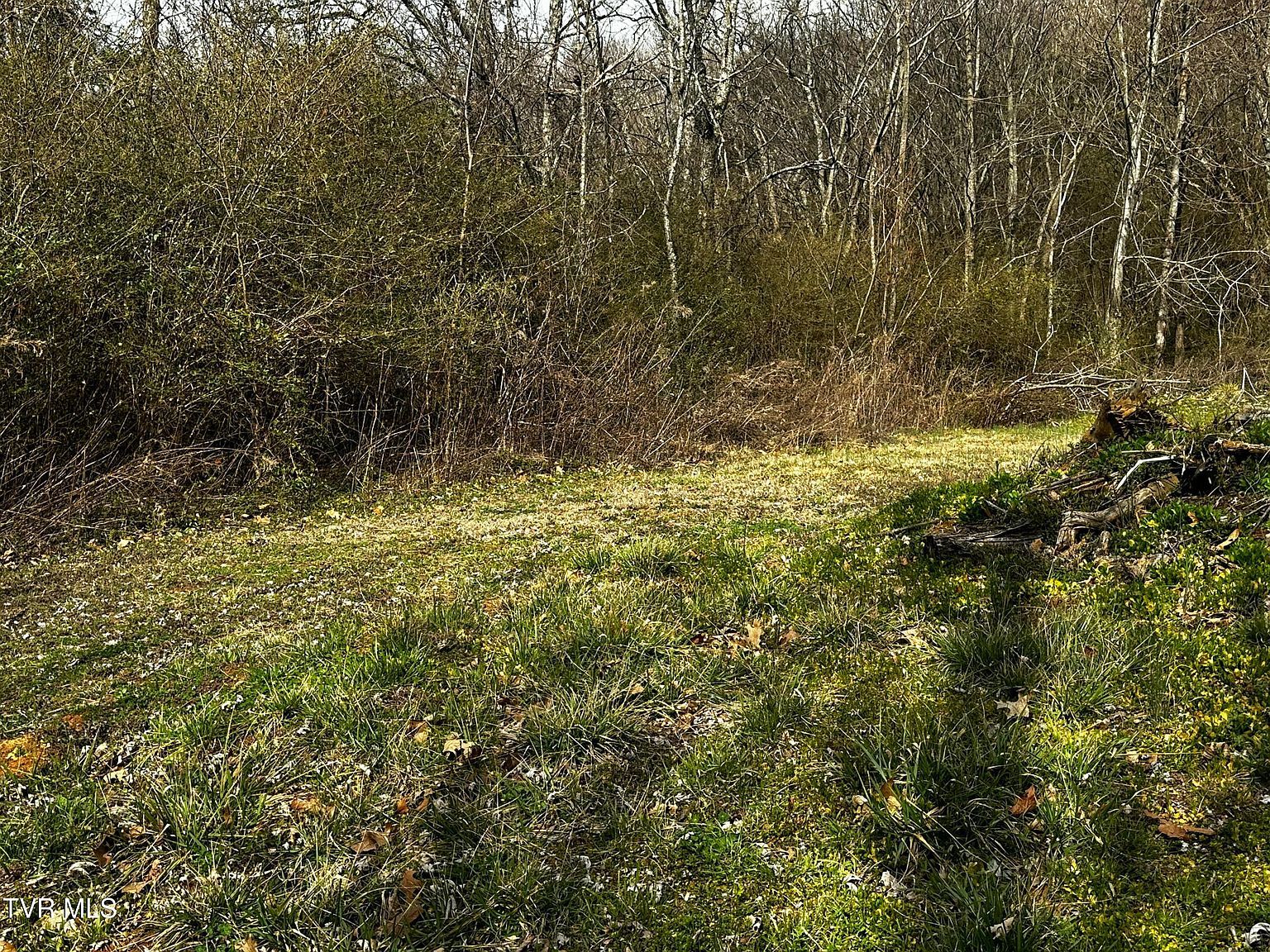 1042 W Vann Rd Greeneville, TN 37743 - Thumbnail 4