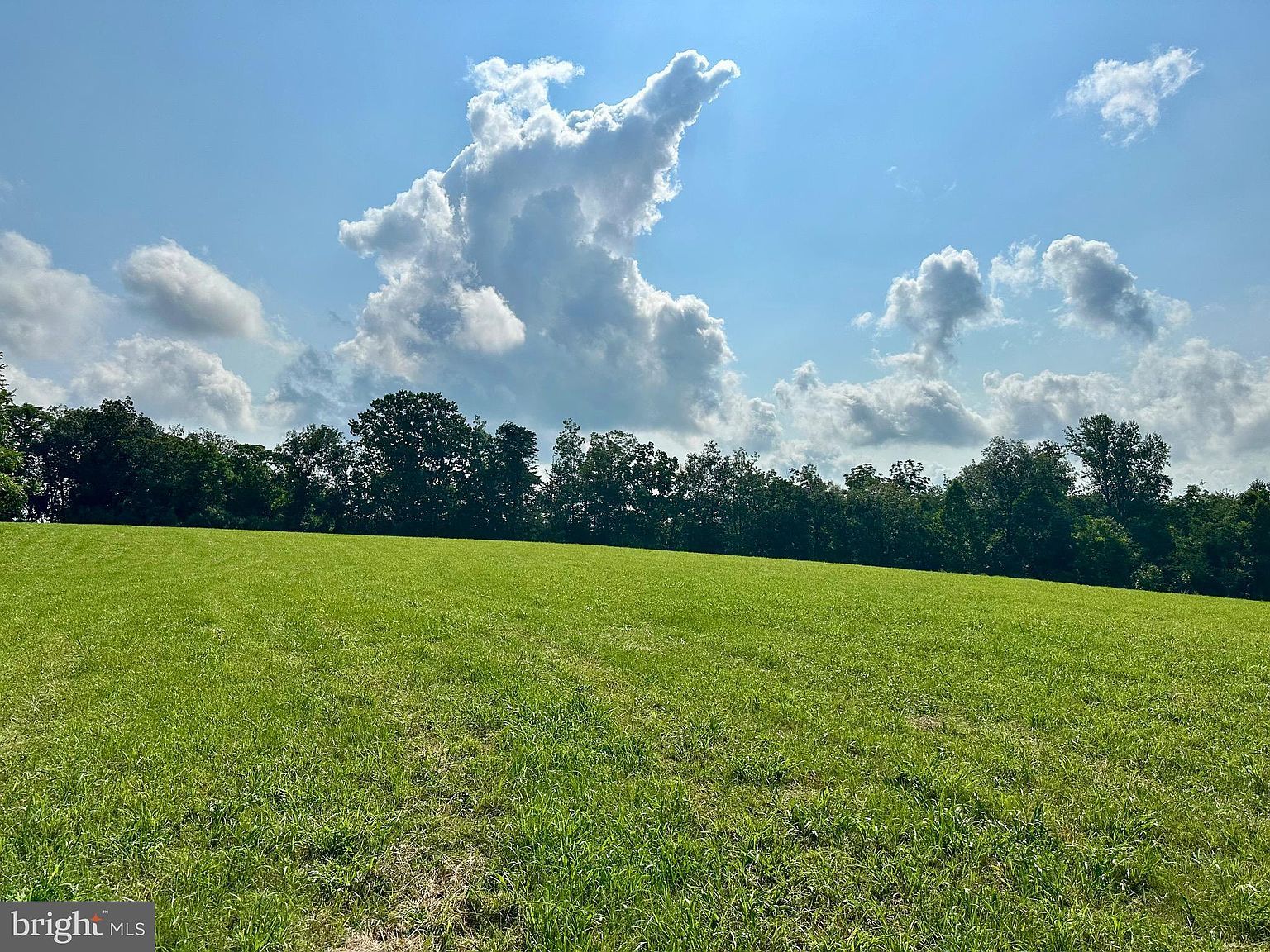 PARCEL 6-22A Black Hill Rd Rixeyville, VA 22737 - Thumbnail 4