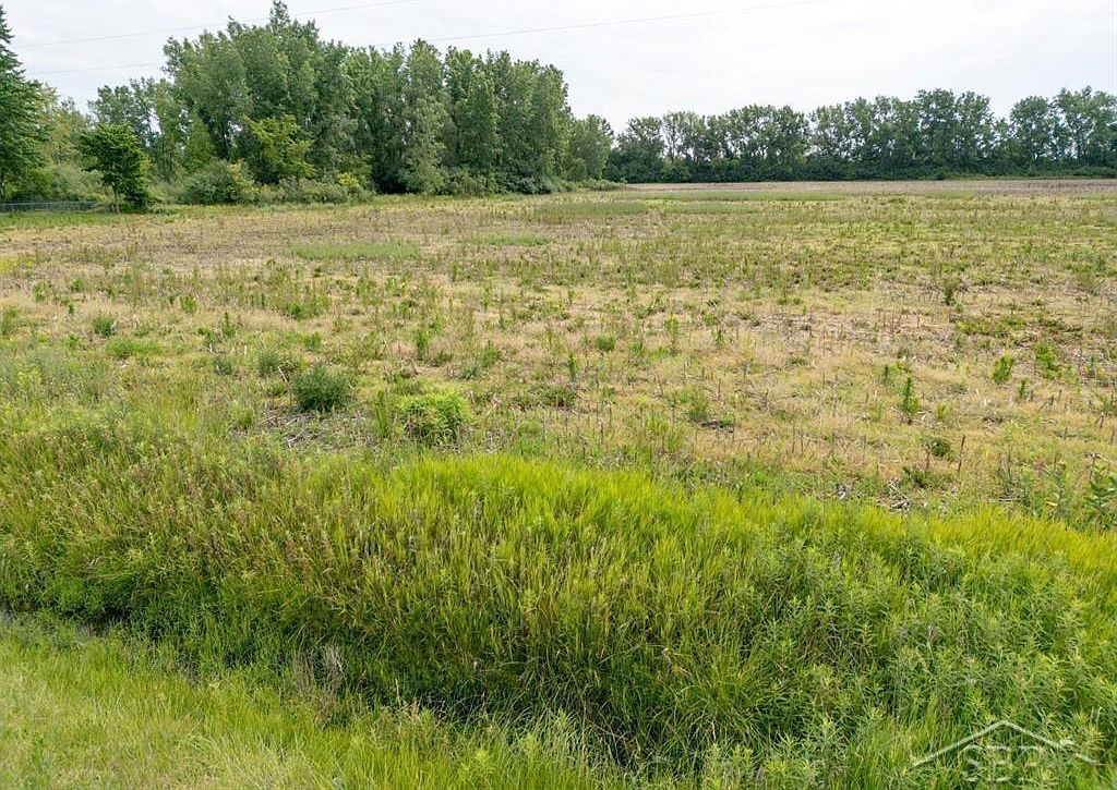 PARCEL D N Center Rd PARCEL D Saginaw, MI 48604 - Thumbnail 4