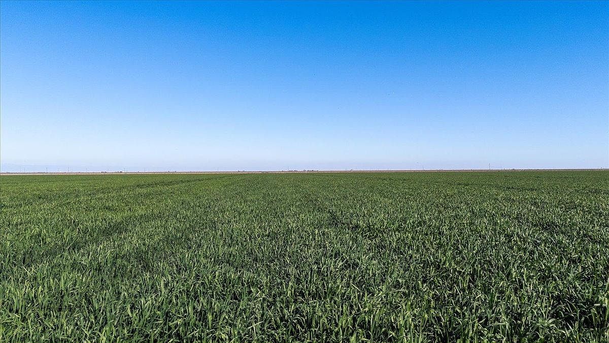 1642 Avenue 21 Chowchilla, CA 93610 - Thumbnail 4